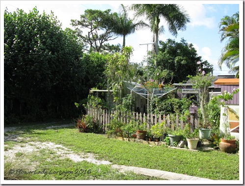 06-17-caravan-garden2