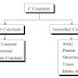 Variables, Constants And Data Types in C Language