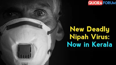 Nipah Virus: 12 year old child dies from Nipah virus in Kerala, know How to avoid this deadly Virus