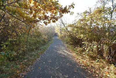 Buttertubs Marsh Park Nanaimo BC.