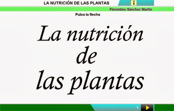 http://cplosangeles.juntaextremadura.net/web/edilim/curso_2/cmedio/plantas02/nutricion_plantas02/nutricion_plantas02.html