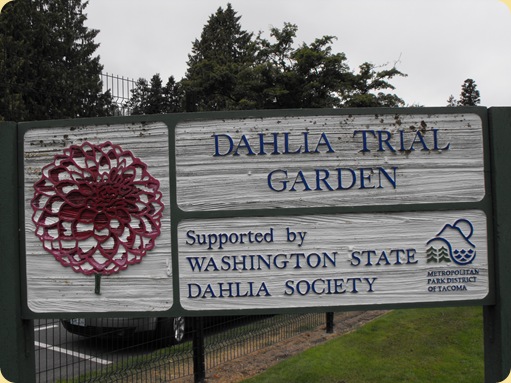 Farmers Market Ruston, Tacoma Wa 089