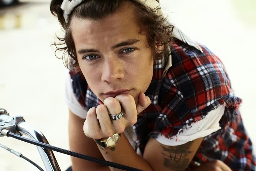 Harry Styles 2014 Photo Shoot