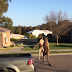 Wild kangaroo Street Fight Video Went Viral