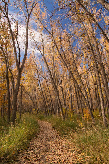 Chatfield State Park