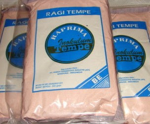 Foto Ragi Tempe Yang Bagus