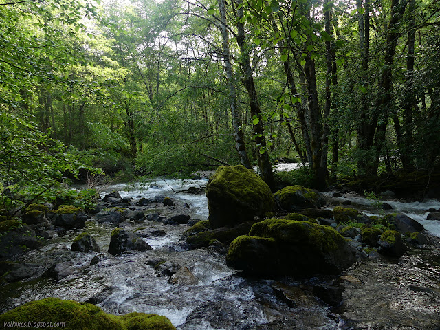 crossing at Harrington Creek