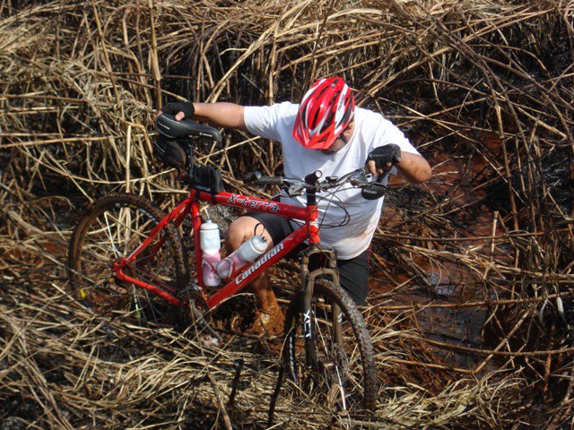 Resultado de imagem para pedalar no brejo