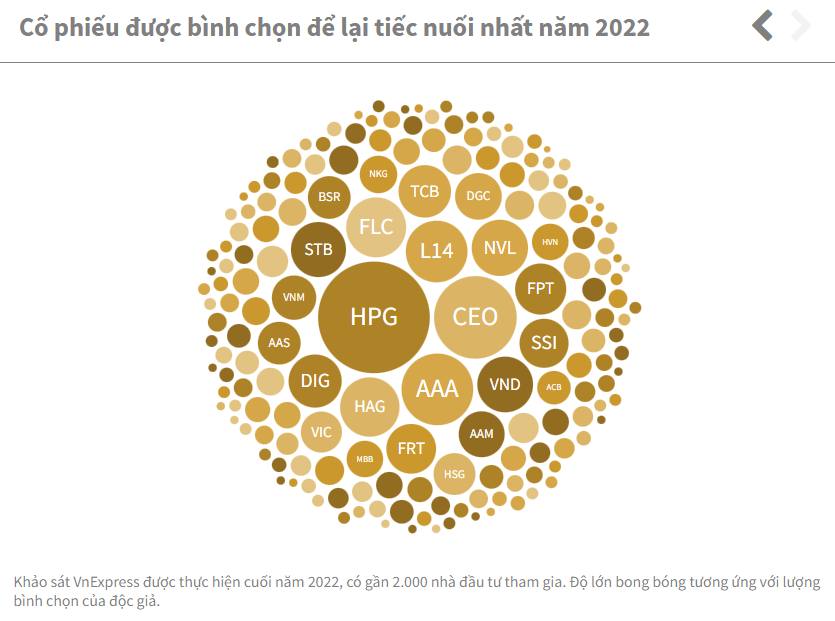 Cổ phiếu nào để lại nhiều tâm tư nhất năm 2022?