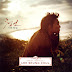 Lee Seung Chul - Blue Swallow OST