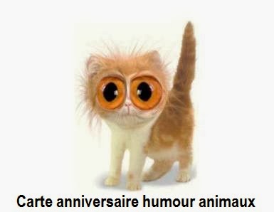 Carte Anniversaire Humoristique Animaux Coleteremelly Blog Carte Anniversaire Humoristique Animaux Coleteremelly Blog