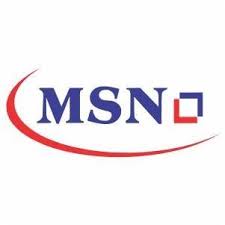 MSN Logo