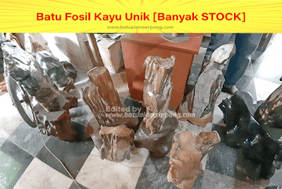 batu fosil kayu untuk pajangan ruangan rumah