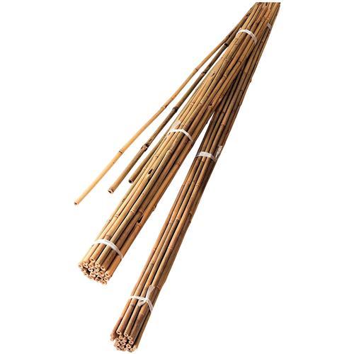 Bamboo Canes5