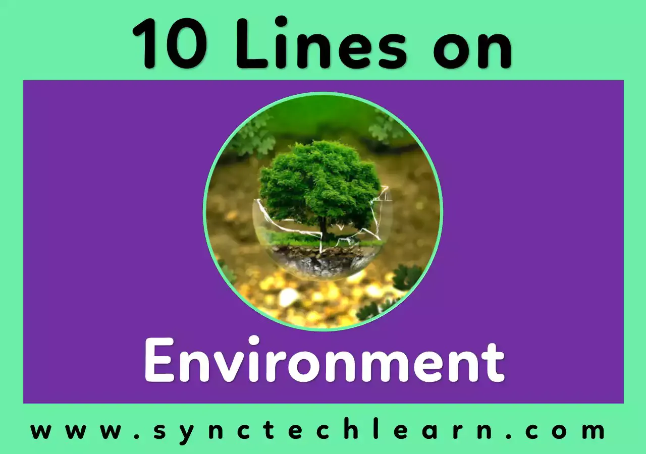 10 Lines On Environment - Short Essay on Environment