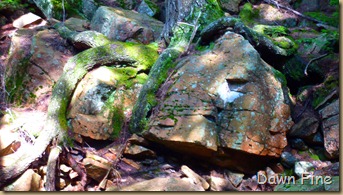 Sargent mountain hike_039