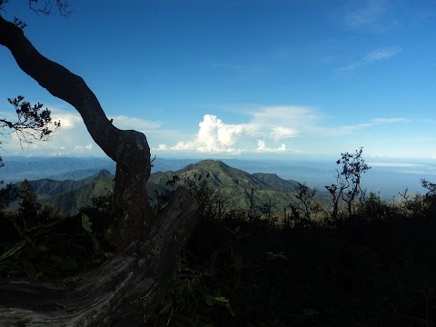 Pendakian Pertama Gunung Lawu via Cemoro Sewu