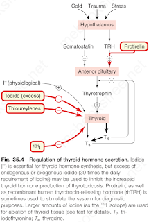 Regulation of Thyroid Hormone Secretion