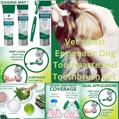 Best dog toothbrush and toothpaste , Vet's Best Enzymatic Dog Toothpaste and Toothbrush Set
