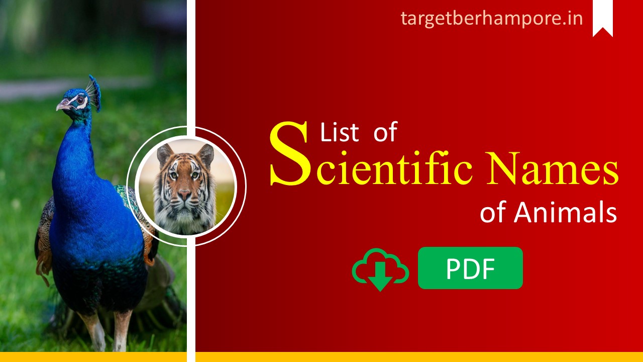 প্রাণীদের বিজ্ঞানসম্মত নাম PDF || List Of Scientific Names of Animals PDF -  TARGET BERHAMPORE: COACHING CENTER