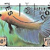 1999 - Benin - Betta splendens