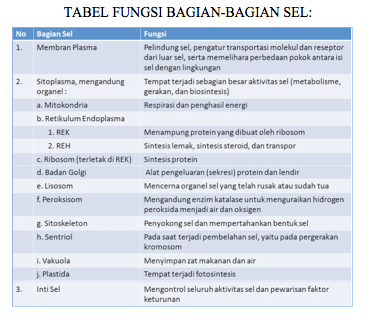 douzes science deux Indikator 13 Fungsi organel sel  pada 