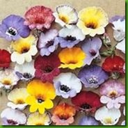 Nemesia Tapestry