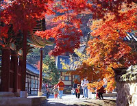 Autumn In Korea