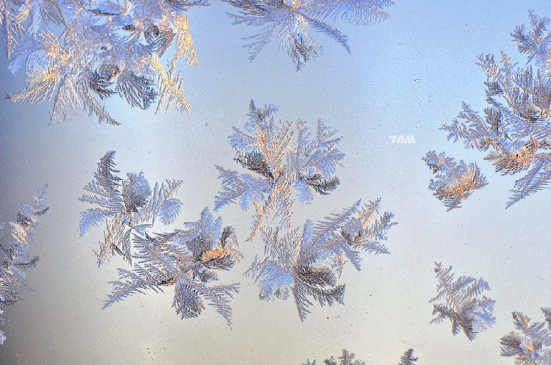 Зимние узоры. Зимние узоры на стекле. Морозные узоры. Морозные узоры на стекле. Навести мороз