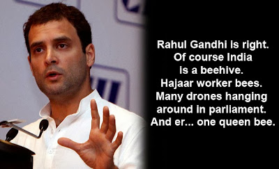 Beehive, Mosquitos.. What Next Rahul Baba?