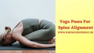 Yoga Poses For Spine Alignment