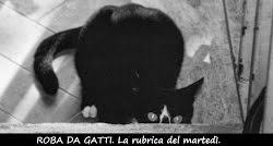 http://pisaendlove.blogspot.it/p/roba-da-gatti.html