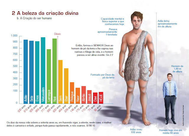 3 A evolução do homem