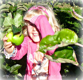 apple picking Blackmoor estate