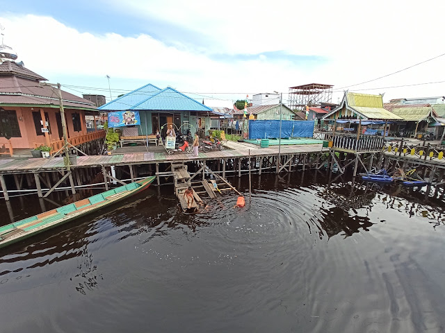 air hitam di sebangau