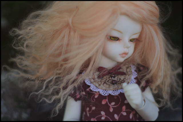 doll photography