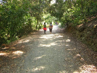 Walking in Collserola