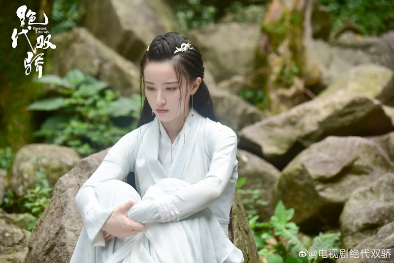 Handsome Siblings China Drama