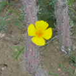 View album