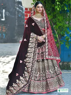 Indian Lehenga Designs - Lehenga Designs 2023 - Indian Lehenga Designs - Lehenga Designs Images Price Bangladesh - Lehenga Designs - NeotericIT.com - Image no 28