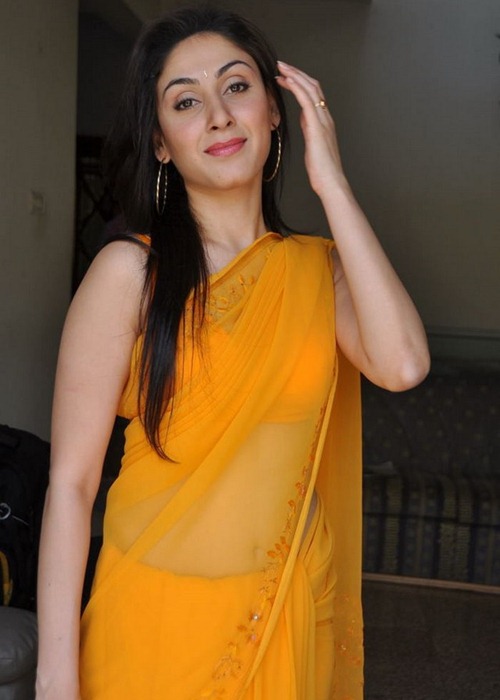 Manjari Fadnis Yellow Sarree Sexy Wallpapers  