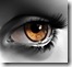 oeil