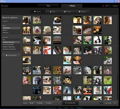 2010-06-07_152048