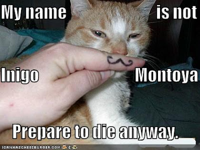 funny-pictures-mustached-princess-bride-cat.jpg