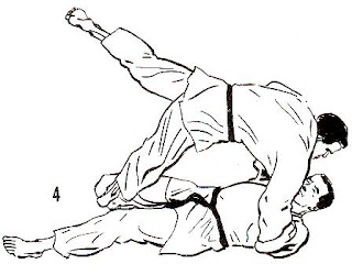 techniques judo