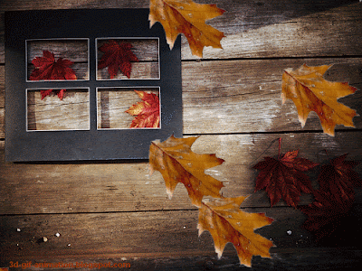 Fall Wallpaper on 3d Hd Wallpapers Download Autumn Tree Leaf Fall Animated Gifs