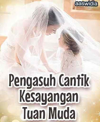 Novel Pengasuh Cantik Kesayangan Tuan Muda Karya Aaswidia Full Episode