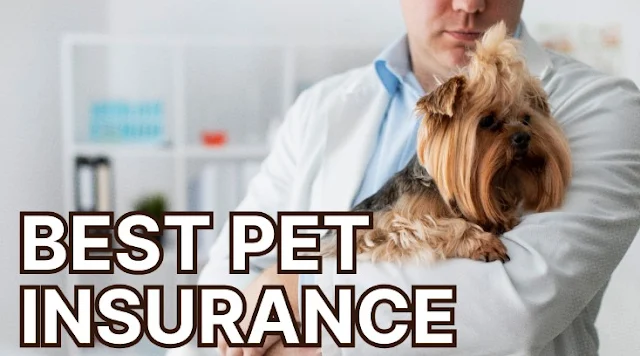 Paw some Protection: Unleashing the Best Pet Insurance Plan