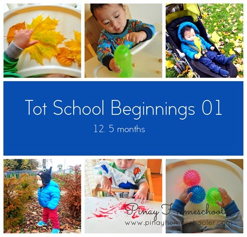 toddlerbeginnings1 copy