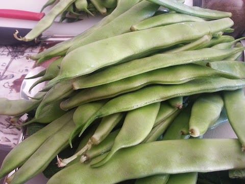 Fresh green beans in olive oil